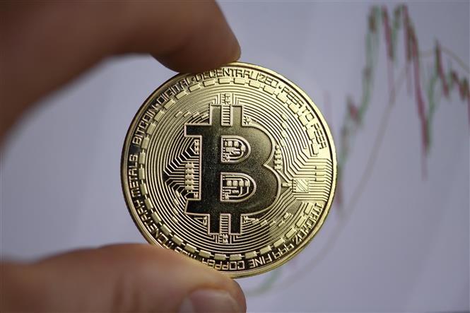 Sàn Bitfinex đầu tư lợi nhuận vào Bitcoin