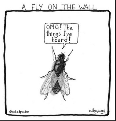 aaz705044.vo.msecnd.net_20160316_fly_on_the_wall.jpg