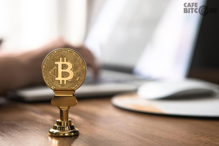 Trader kiếm được 29% lợi nhuận bằng cách tạo ra một thuật toán giao dịch Bitcoin mới!