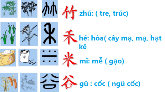achinese.com.vn_wp_content_uploads_2019_05_tuong_hinh_11.png