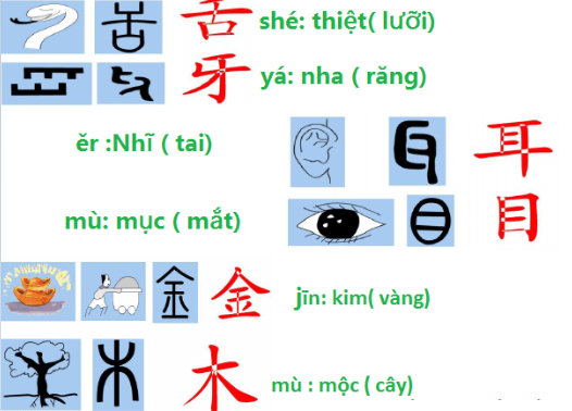 achinese.com.vn_wp_content_uploads_2019_05_tuong_hinh_2.png