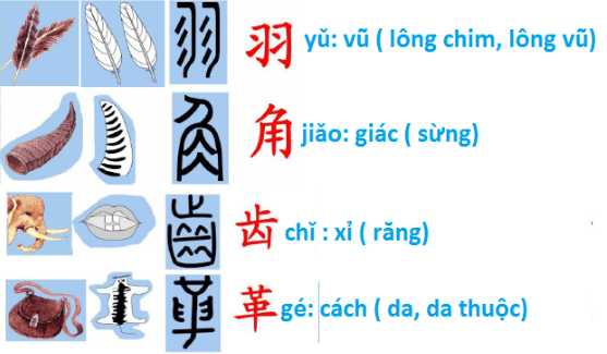 achinese.com.vn_wp_content_uploads_2019_05_tuong_hinh_7.png