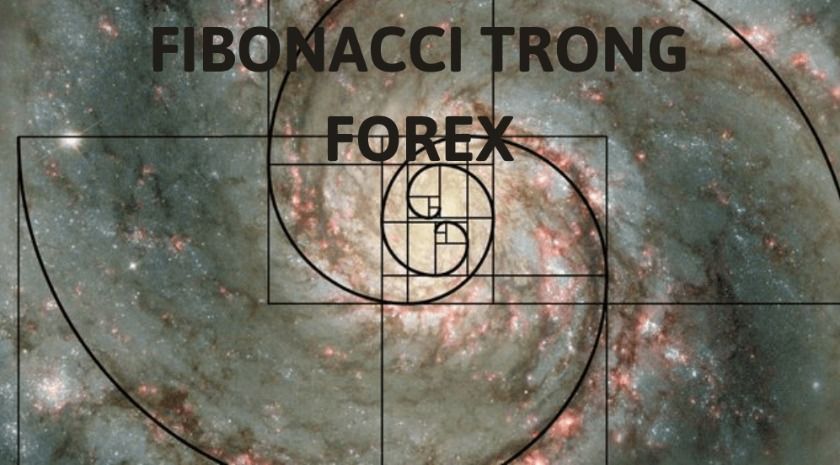 Hướng dẫn phân tích kỹ thuật Fibonacci trong forex chuyên sâu