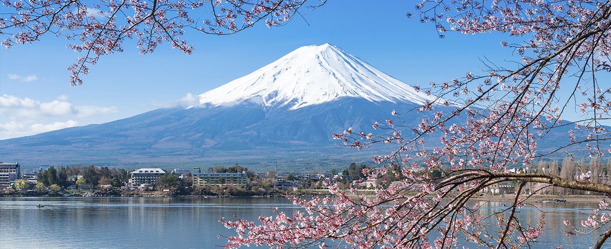 Asia-Classic-Japan-Mt-Fuji-Cherry-Blossom-MH.jpg
