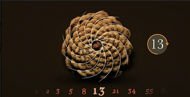 ban-tron-fibonacci-cac-so-trong-day-fibonacci-khong-quan-trong-nhu-ban-van-nghi-traderviet-1.png