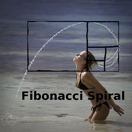 bi-an-ve-day-fibonacci-va-ti-le-vang-than-thanh-trong-van-vat.jpg