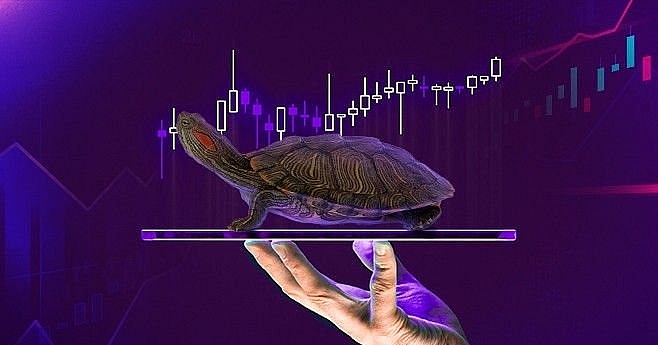 Chien-luoc-Turtle-Trading-co-con-hieu-qua-khong-TraderViet8.jpeg