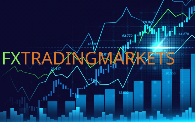 Mô hình hoạt động FX trading market bị triệt phá