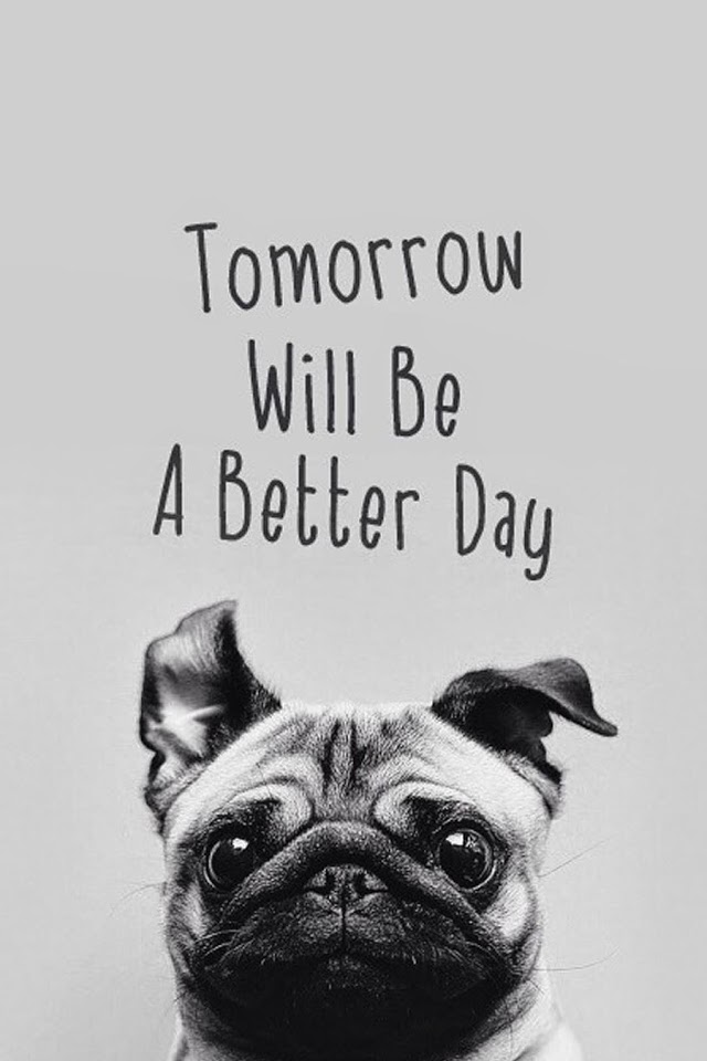 tomorrow-will-be-a-better-day-pug-face-galaxy-note-hd-wallpaper.jpg