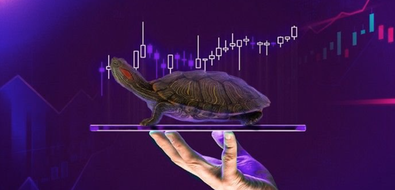 Turtle-Trading-he-thong-giao-dich-hoan-chinh-TraderViet4.png