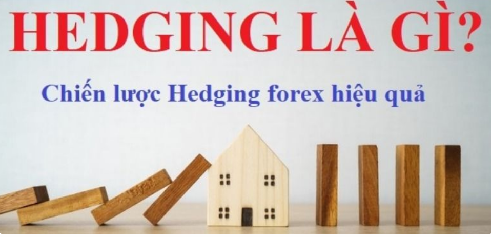 Kiến thức căn bản: Hedge, Hedging là gì? Chiến lược sử dụng hedging trong giao dịch