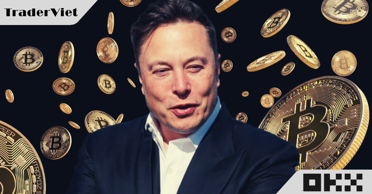 Trước đà tăng như "vũ bão" của thị trường, có vẻ như tỷ phú Elon Musk đã âm thầm gom thêm hàng nghìn Bitcoin