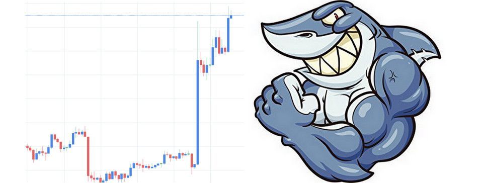 Cú đẩy giá BTC tát thẳng vào mặt trader của cá mập