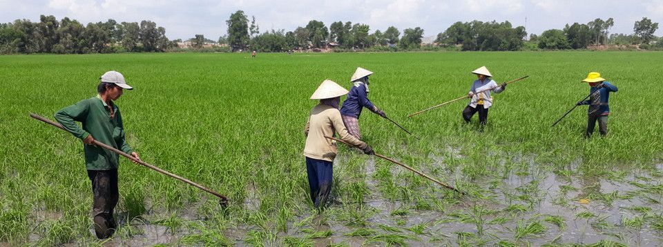 Nhiều nông dân Lâm Đồng trắng tay khi lao vào “vòng xoáy”… tiền ảo