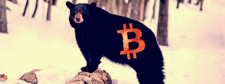 Bitcoin Bear Market - Không phải  lần  đầu và cũng sẽ chẳng là lần cuối