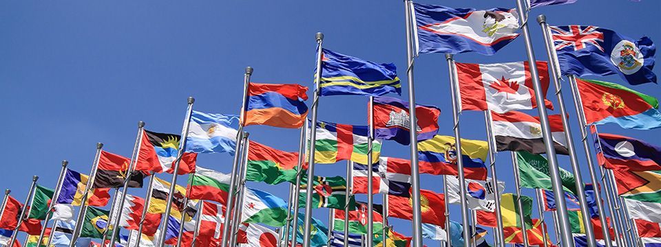 Tổ chức Thương mại Thế giới WTO là gì?