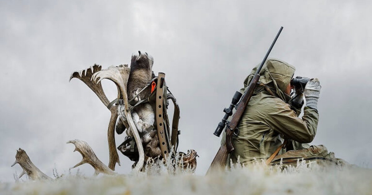 Stop hunter – Những kẻ săn stoploss, kẻ thù của các trader nhỏ lẻ (Phần 1)