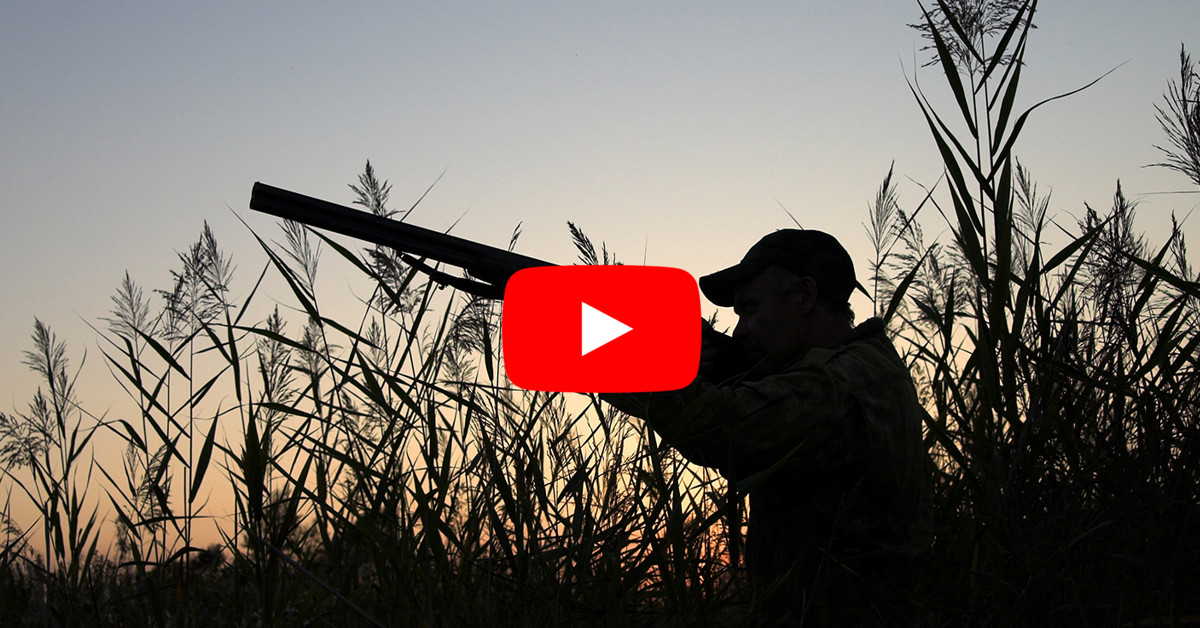 [Video Clip] 5 Bước giúp Forex Trader giao dịch như một thợ săn chuyên nghiệp