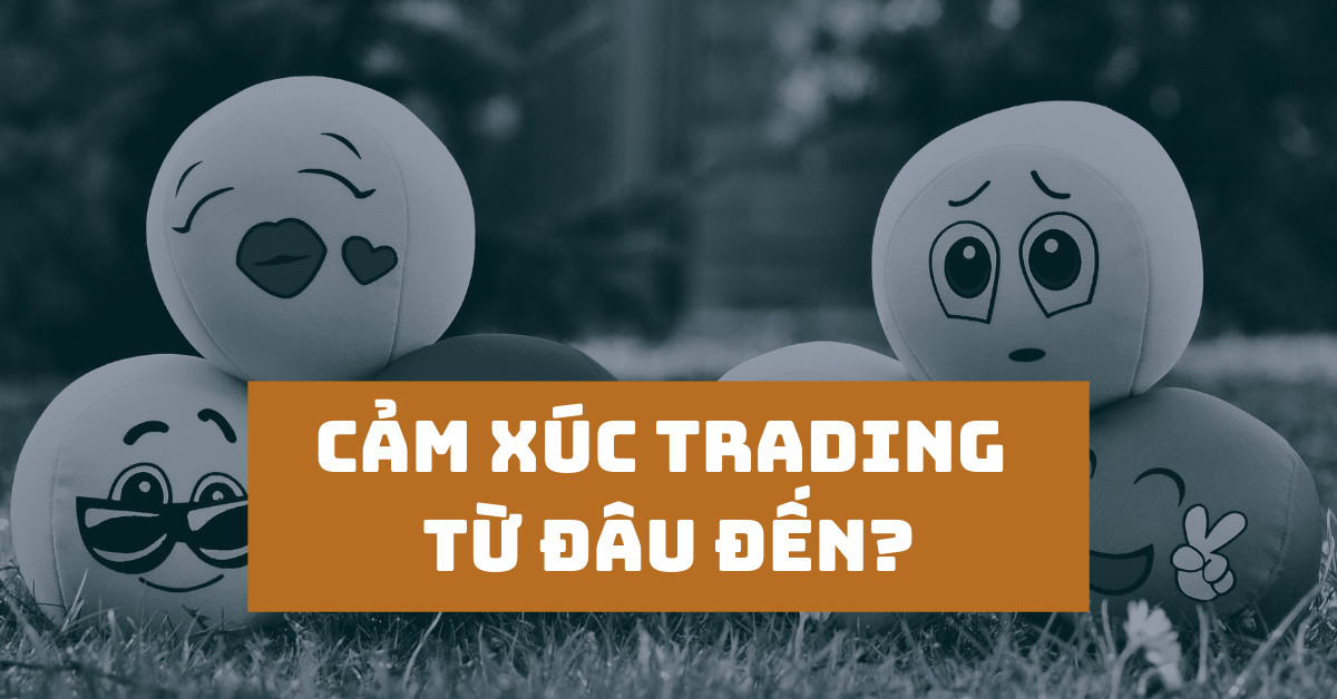 (Trader Chia sẻ) Cảm xúc chân thật của nghề Trading đến từ đâu?