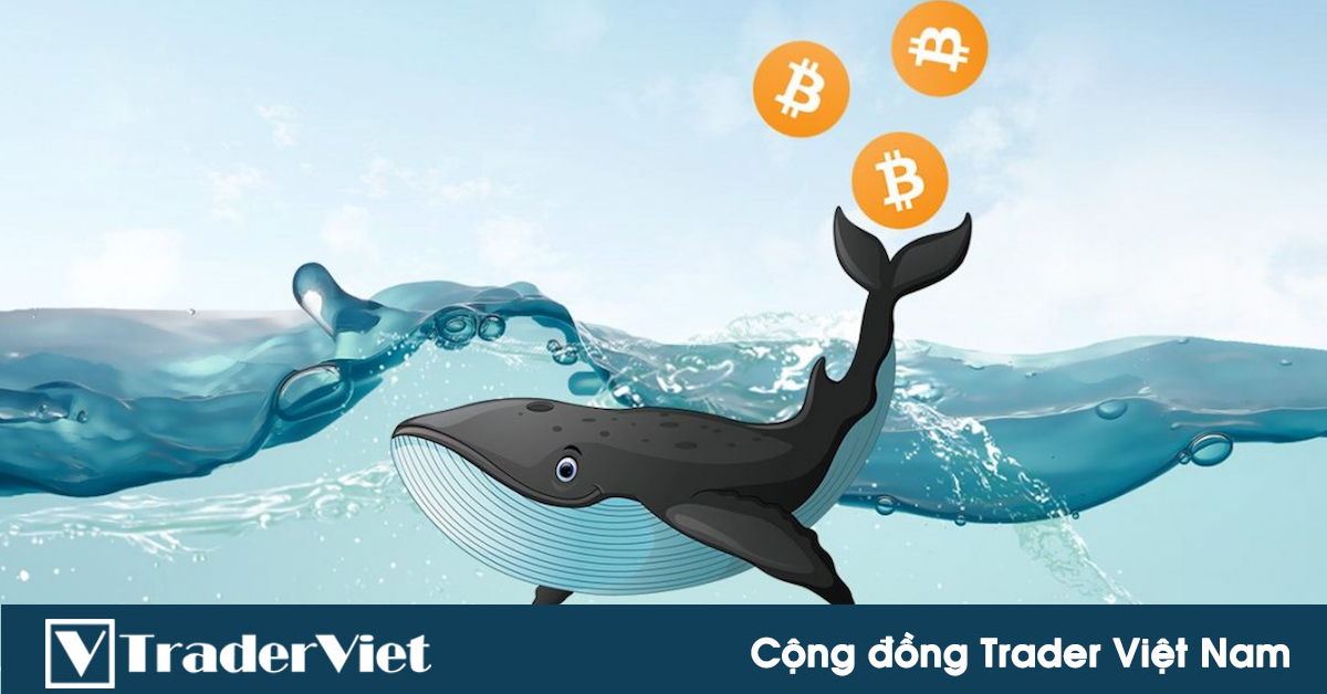 Cá voi đã bán phá giá Bitcoin với hơn 93K BTC đã được "xả" kể từ khi đạt đỉnh