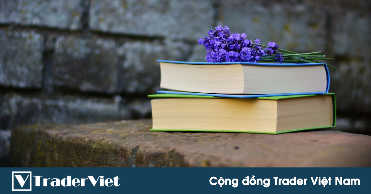 [Sách Tiếng Việt] Hướng dẫn chuyên sâu về giao dịch Price Action của Laurentiu Damir