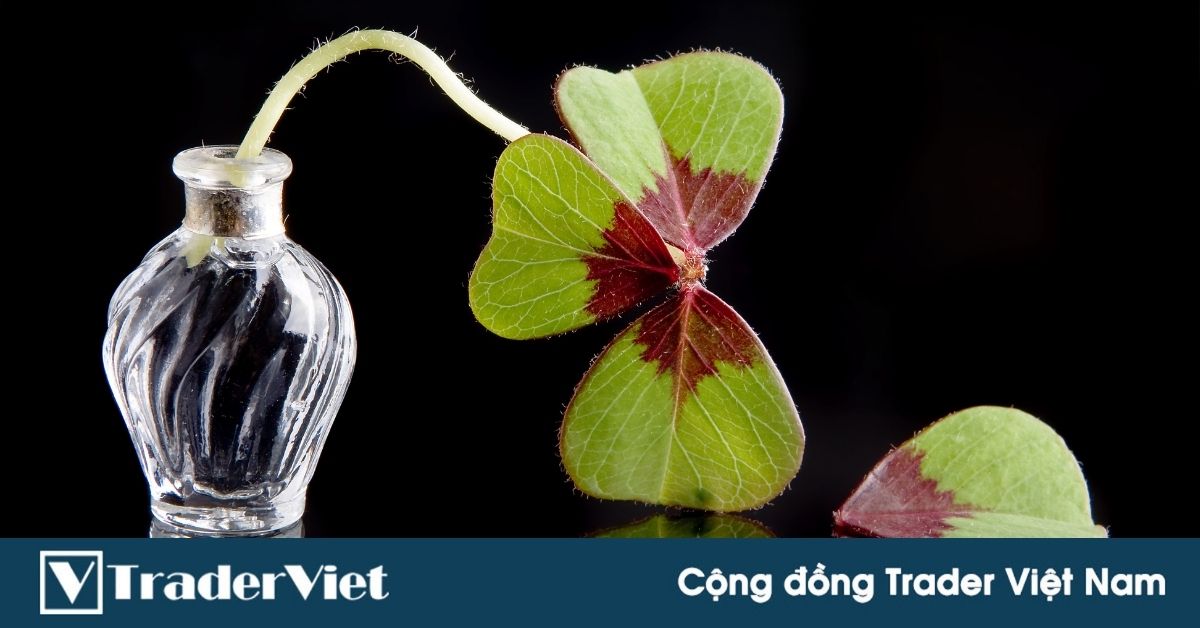 Một người Việt mất 8 tỷ đồng vì sàn tiền mã hóa bị sập