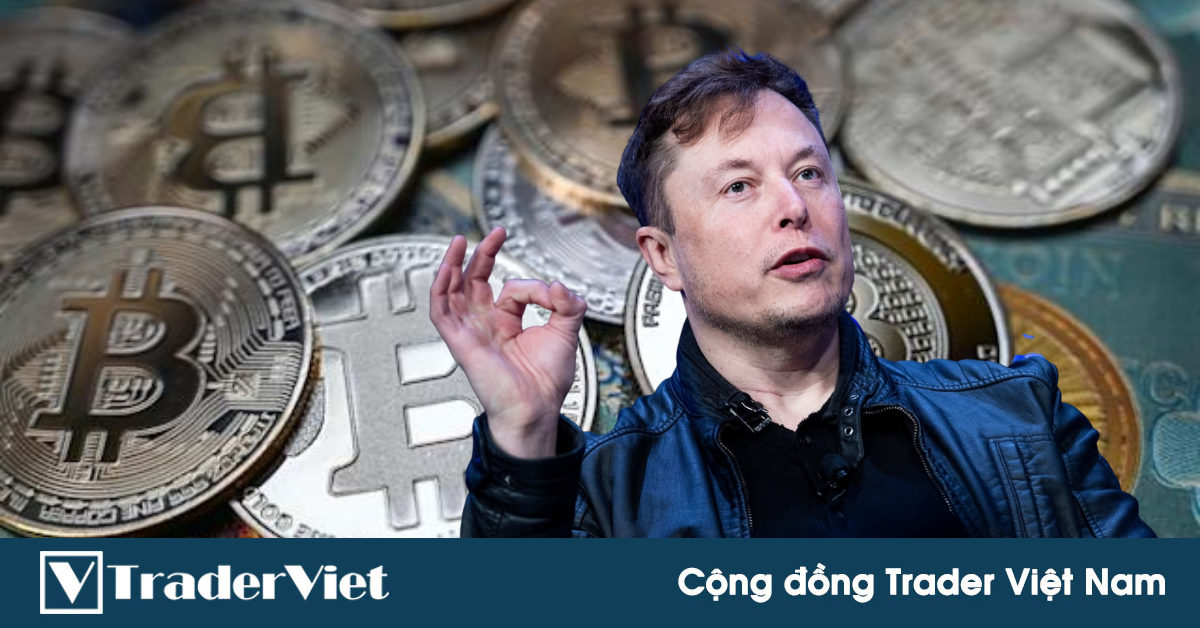 Tin nóng tài chính đầu ngày 22/07 - Bitcoin tăng lên trên $32.000 khi Elon Musk khẳng định lại tình yêu của mình với tiền điện tử!