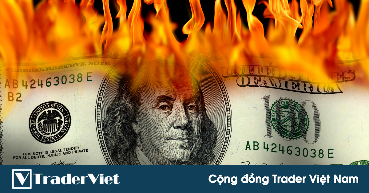 Sập sàn tiền ảo Wolf Broker: Hàng trăm tỉ đồng của các nhà đầu tư Việt Nam có nguy cơ bị mất trắng