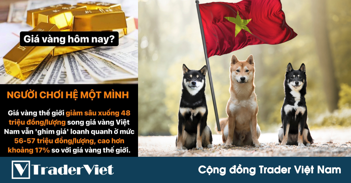 Điểm nóng MXH 11/08 - Cộng đồng Trader Việt Nam: Nghịch lý vàng thế giới và vàng Việt Nam!