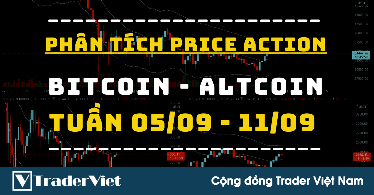 Phân Tích BITCOIN - ALTCOIN Theo Price Action Tuần 05-11/09