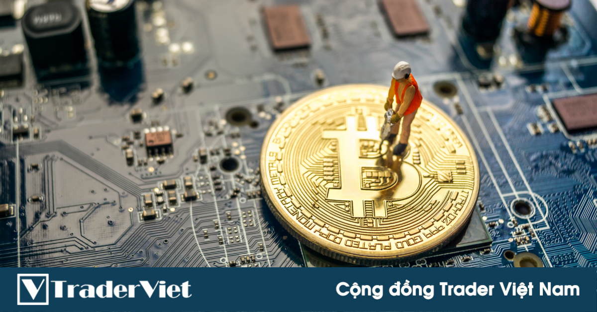Thợ đào Bitcoin của Trung Quốc: 40 triệu đô ôm mộng ở Mỹ