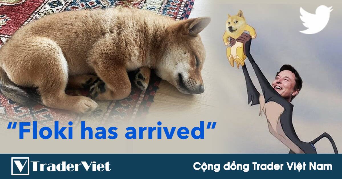 Điểm nóng MXH 17/09 - Cộng đồng Trader Việt Nam: Elon Musk đăng ảnh chó cưng, giá coin tăng gần 1.000%!