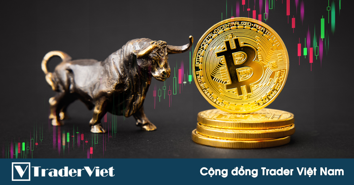 Bitcoin tăng giá nhưng nhiều nhà đầu tư Việt không vui