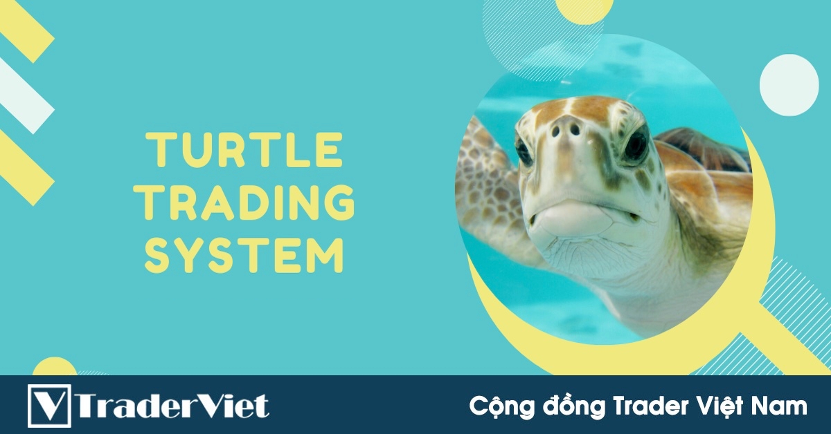 Hệ thống Turtle Trading huyền thoại - Khi một người bình thường nhất cũng có thể trở thành một trader giỏi!