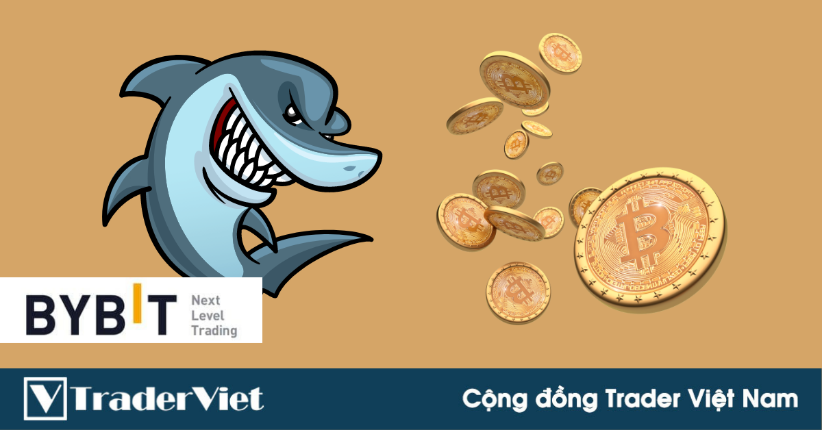 'Cá mập' vờn 'cá con' để kiếm lời từ Bitcoin thế nào!?