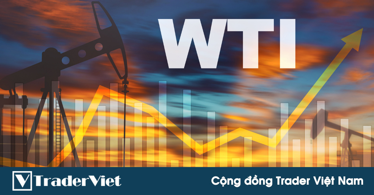 Đầu tư Dầu thô tại Việt Nam qua những hình thức nào?