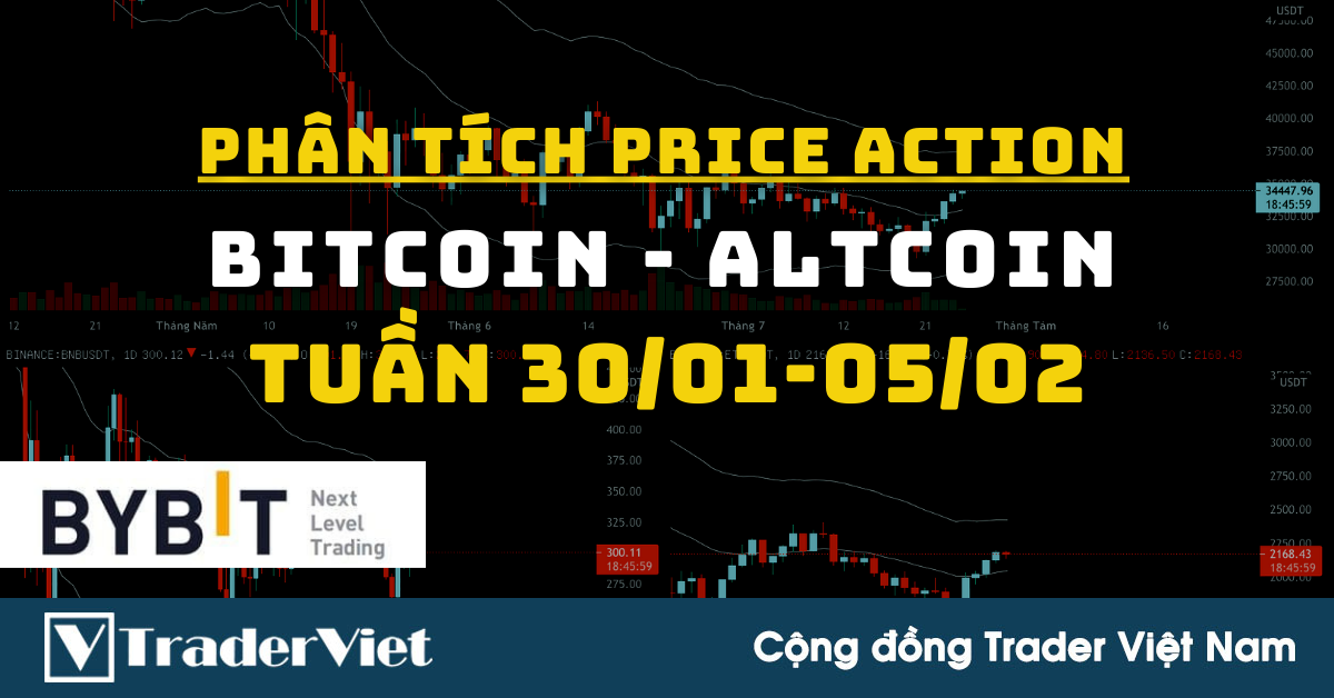 Phân Tích BITCOIN - ALTCOIN Theo Price Action Tuần 30/01-05/02