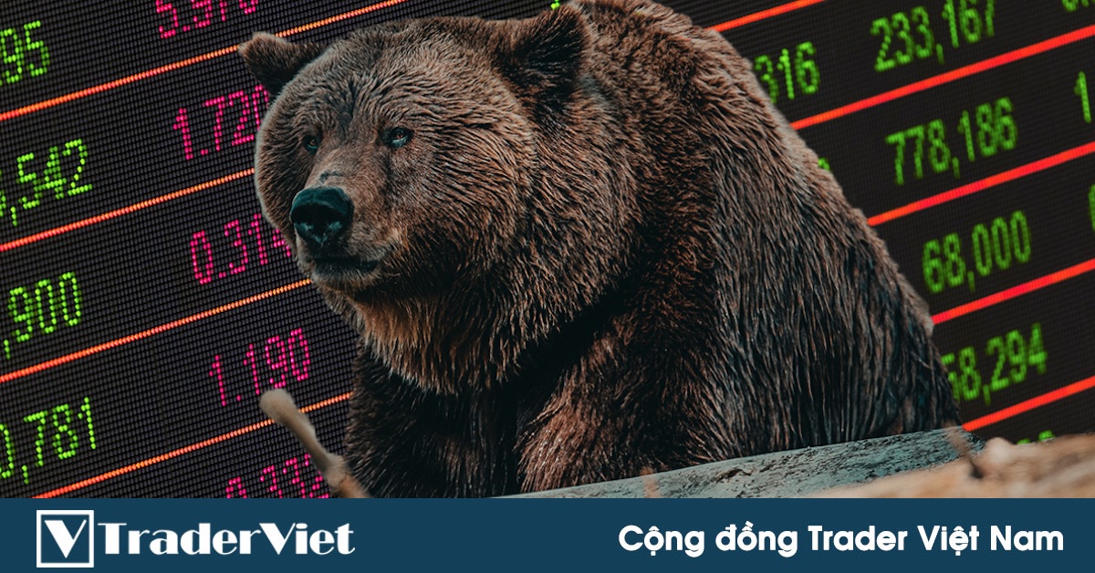Chứng khoán Mỹ chính thức bước vào thị trường giảm giá (bear market) - Anh em trader nên làm gì?