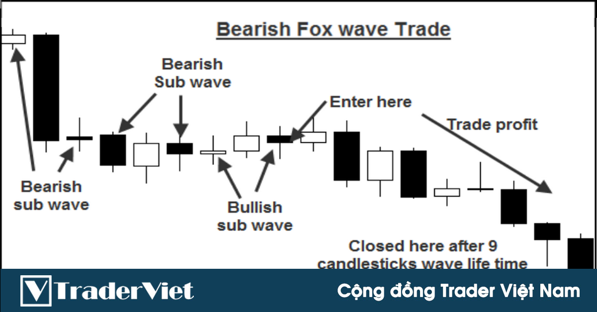 Hệ thống giao dịch sóng Fox - Phần 4: Điểm vào lệnh, mục tiêu lợi nhuận và dừng lỗ với sóng Fox