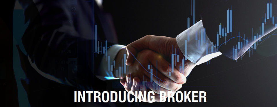 Những điều cần biết về công việc Introducing Broker