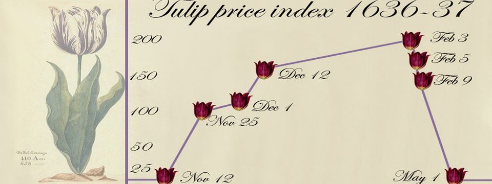 Những vụ sụp đổ thị trường lớn nhất lịch sử - Bong bóng Hoa Tulip ở Hà Lan (1630s)